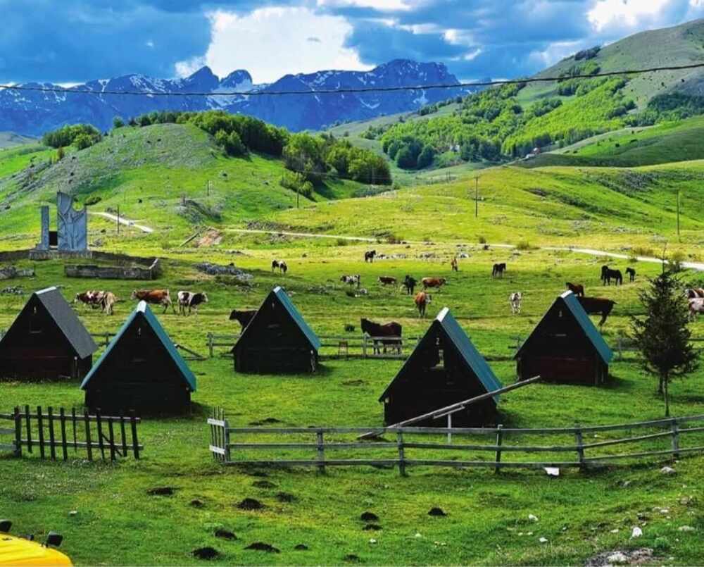 Mountain plateau with wooden chalets and grazing horses near Trsa, Montenegro